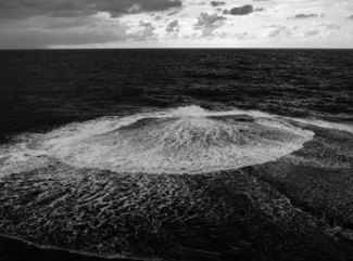 Flower of wave