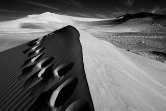 The Dune