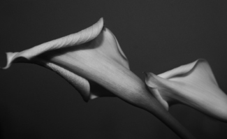 A Touch