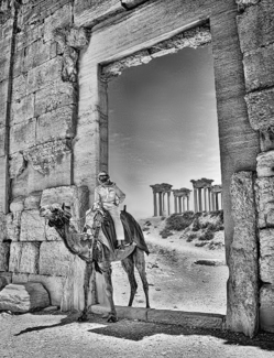 Camel Rider