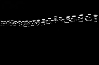 NZ Navy - Backbone