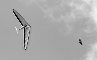 Fly like an Eagle