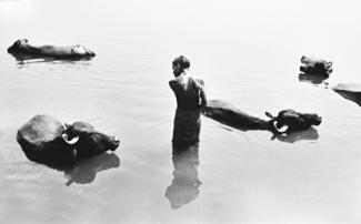 Benares