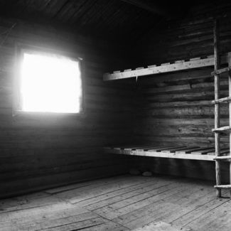 Tom's Cabin
