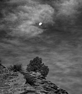 Lone Tree, Zion