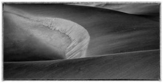 BW Landscape