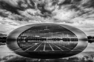The Egg