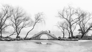 Winter Bridge