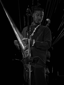 African Kora Player