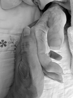 Hands of Comfort - Family Portrait
