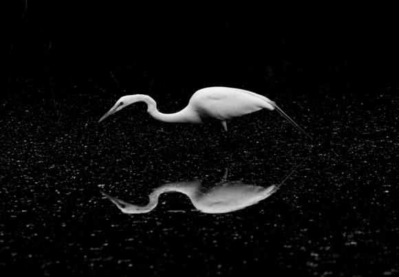 On the Bayou 