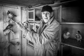 Belgian pigeon fancier