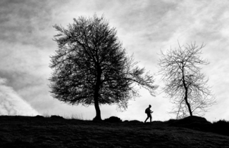 Onthe ridge
