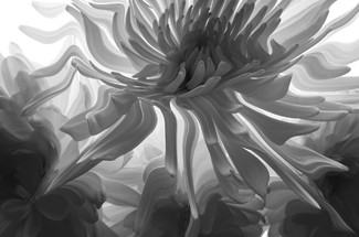 Liquid Blooms