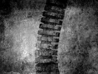 Spine