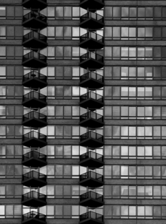 The Hive