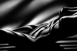 painted by the lights (fine zebra nude art)