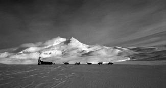 Dog sledge