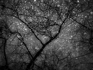 Starry Night