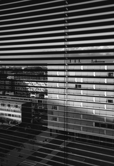Blinds