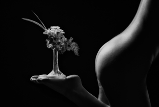 Always Fresh Flowers