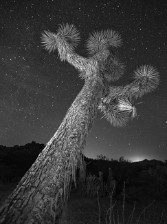 Reaching Out
