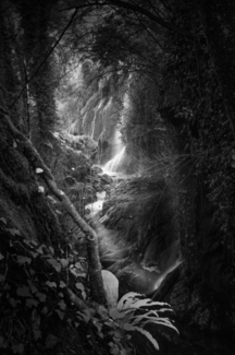 Alluring Path
