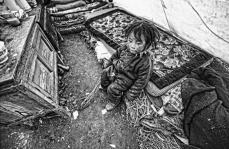 Tibetan girl