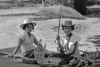 Madagascar Belles