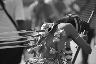 Thaipusam