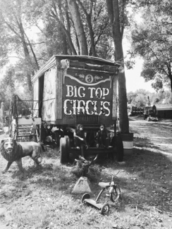 Circus Cars
