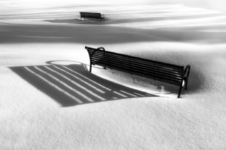 Loneliness (1)