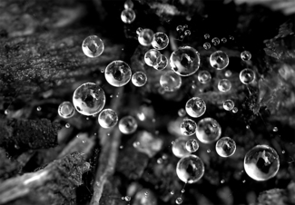 Gossamer Web