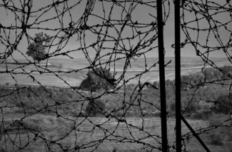 The Fence