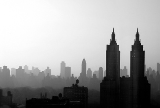 The view