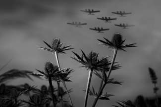 Heart of Darkness