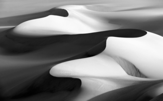 Spline