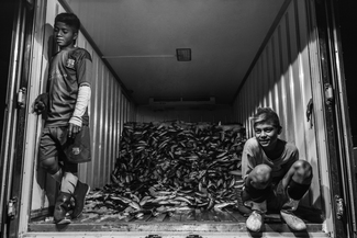 Yangon Fish Market