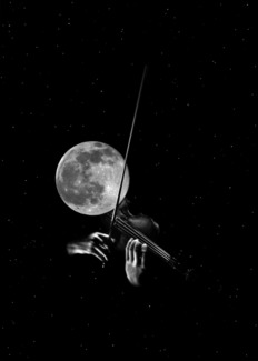 Moonlight Serenade
