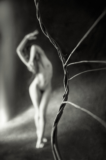 Untitled, vine