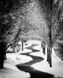 Winter Walkway