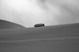 Shelter