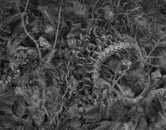 Untitled, from Gathering