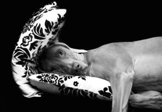 resting