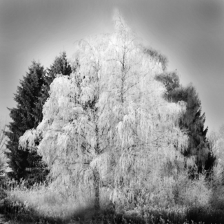 Coldness