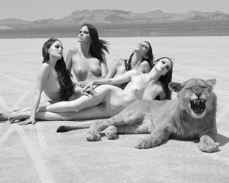 Big Cat, 2008