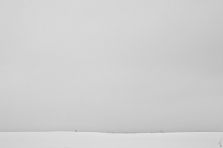 Whiteout
