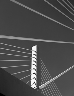 Tacoma Bridge