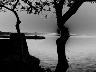 Dana Harbor