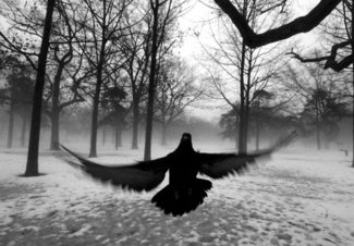 Alone in Winter (I)...